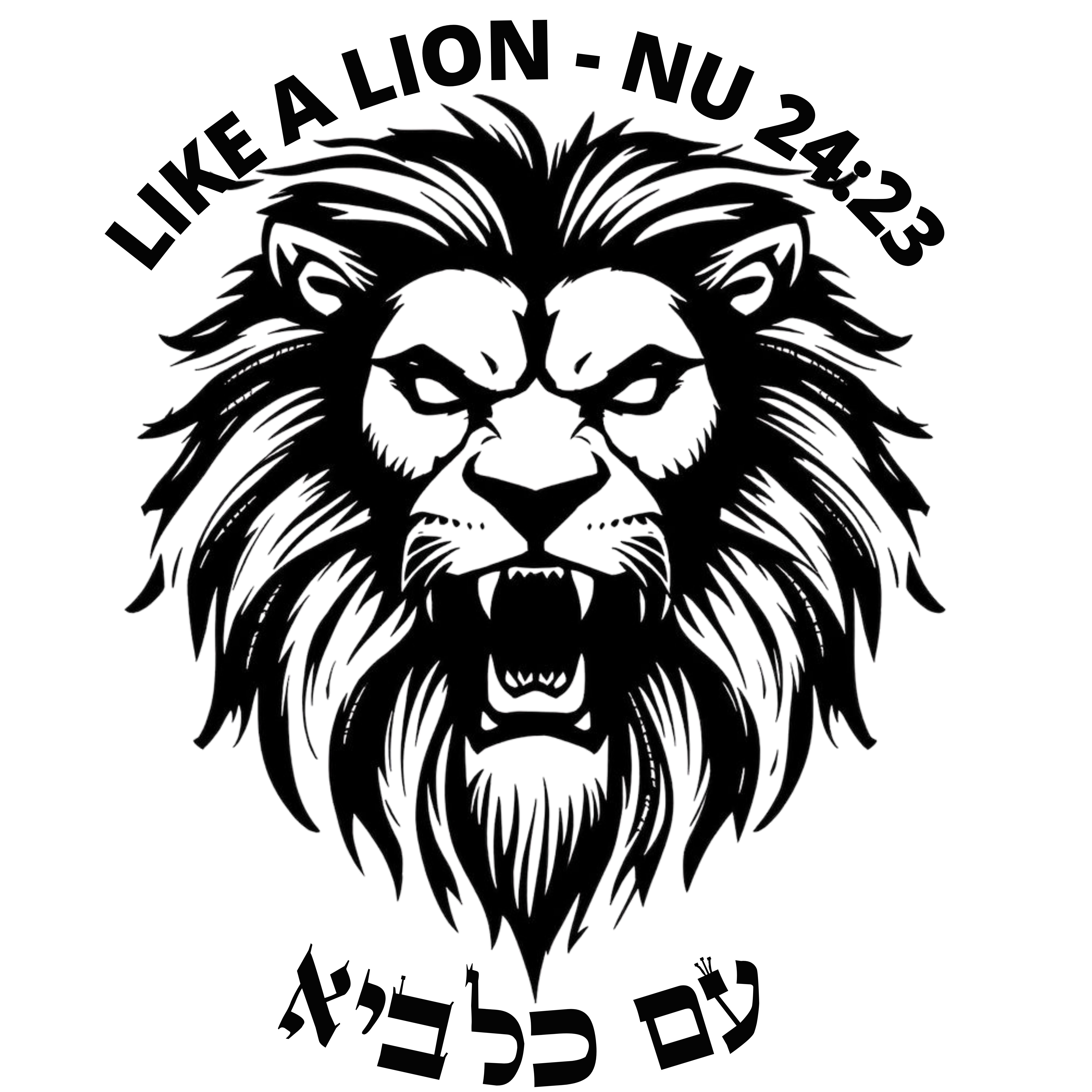 Fleece Hoodie, Like A Lion, Embroidered Sweatshirt in Pastel Colours