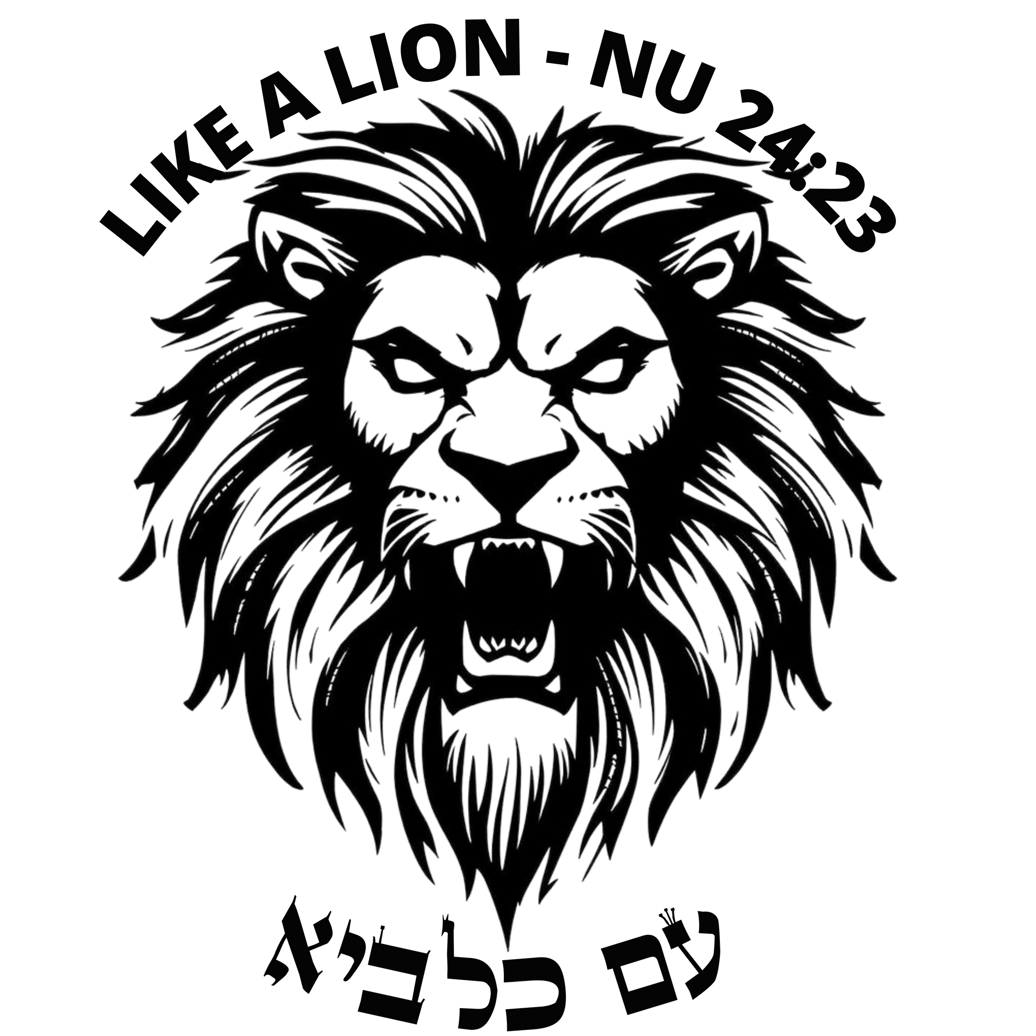 Fleece Hoodie, Like A Lion, Embroidered Sweatshirt in Pastel Colours